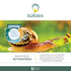 1761156311KOLBEX_ml_3 - Needify