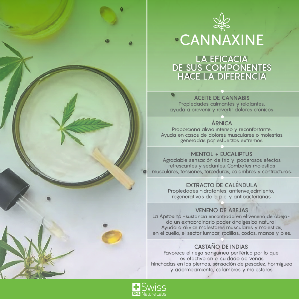 Cannaxine Pomada con Aceite de Cannabis – Cuidado Muscular y Confort Corporal