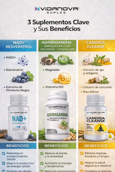 Tripack NAD+ Ashwagandha y Equilibrio Digestivo – Energía y Bienestar Integral