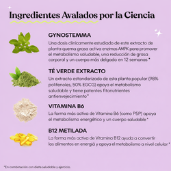 Lemme Burn – Suplemento Metabólico Natural para Energía, Apoyo en Pérdida de Peso y Control del Apetito