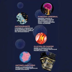 Resveratrol NAD+ Satoomi 1000mg – Antioxidante, Energía Celular y Antienvejecimiento – 60 Cápsulas