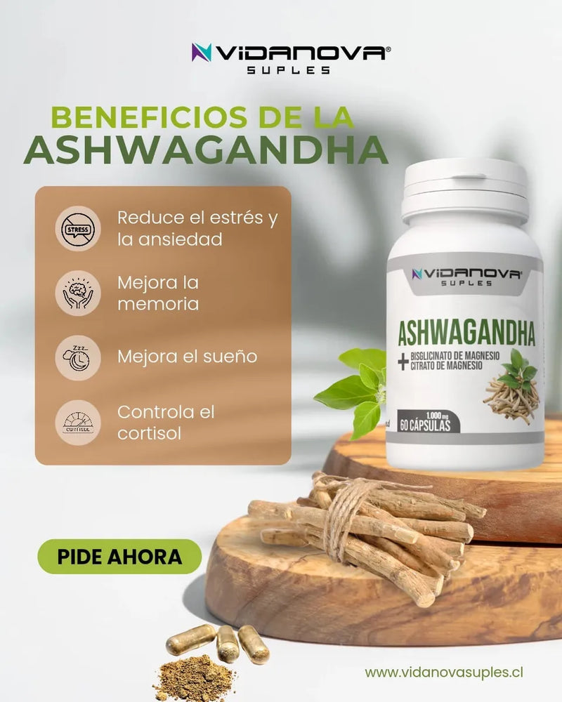 Pack x3 Ashwagandha Vidanova – Bienestar, Energía y Equilibrio Diario